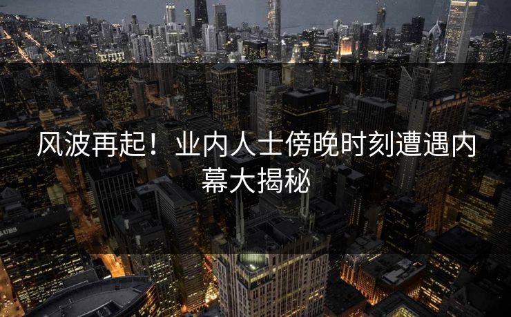 风波再起！业内人士傍晚时刻遭遇内幕大揭秘  第1张