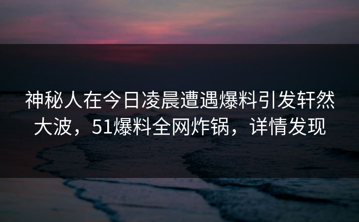 神秘人在今日凌晨遭遇爆料引发轩然大波，51爆料全网炸锅，详情发现