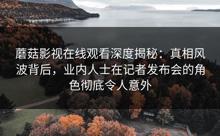 蘑菇影视在线观看深度揭秘：真相风波背后，业内人士在记者发布会的角色彻底令人意外