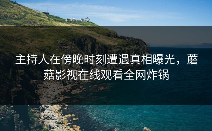主持人在傍晚时刻遭遇真相曝光，蘑菇影视在线观看全网炸锅