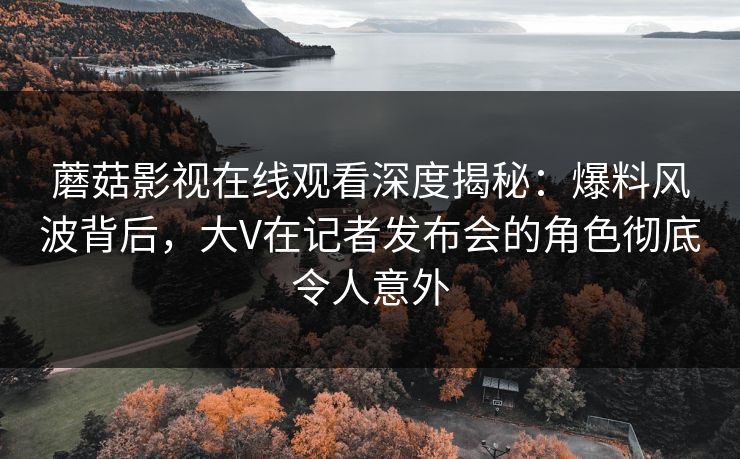 蘑菇影视在线观看深度揭秘：爆料风波背后，大V在记者发布会的角色彻底令人意外