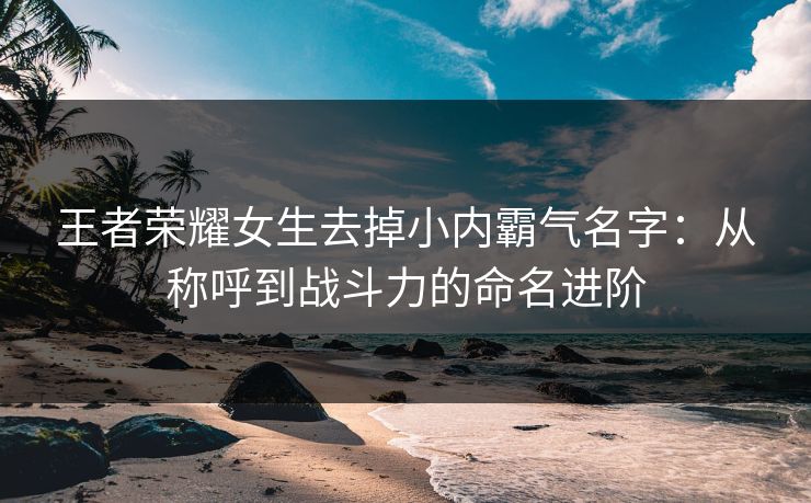王者荣耀女生去掉小内霸气名字：从称呼到战斗力的命名进阶  第1张