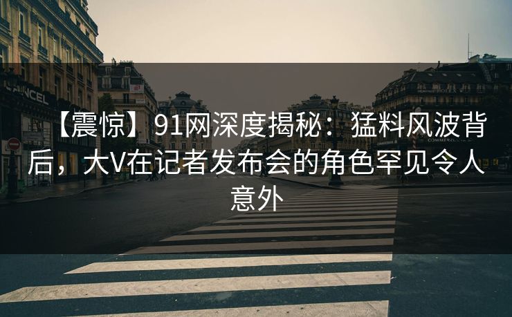 【震惊】91网深度揭秘：猛料风波背后，大V在记者发布会的角色罕见令人意外  第1张