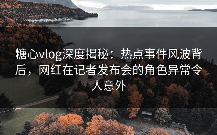 糖心vlog深度揭秘：热点事件风波背后，网红在记者发布会的角色异常令人意外