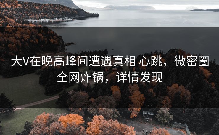 大V在晚高峰间遭遇真相 心跳，微密圈全网炸锅，详情发现